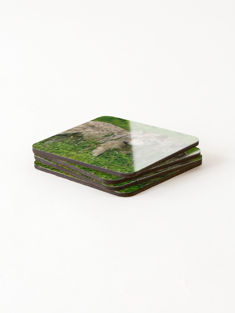Thumbnail 4 of 5, Coasters (Set of 4), Timber Wolves designed and sold by WolvesOnly.