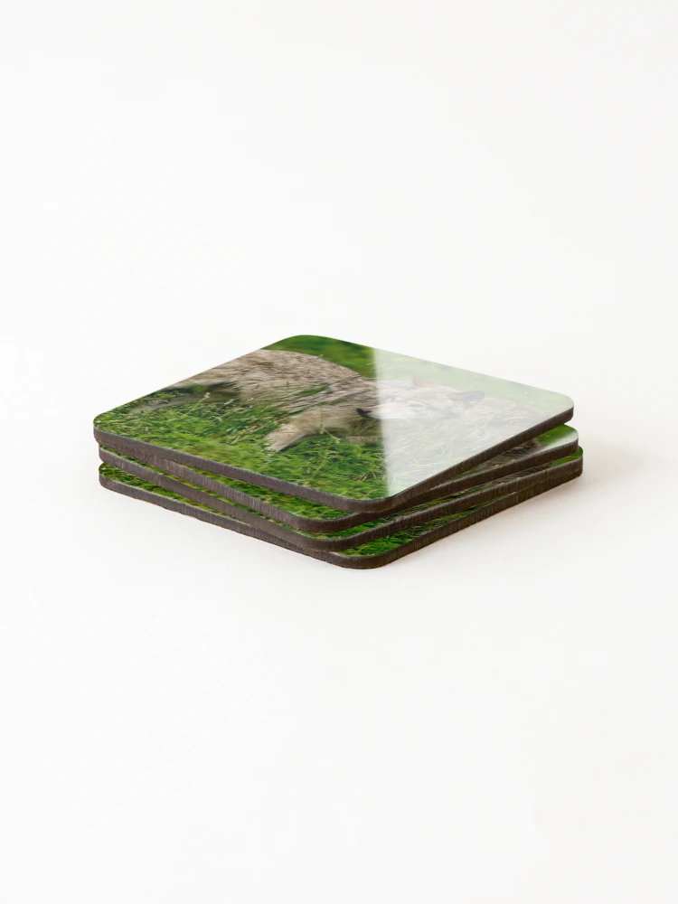 Thumbnail 4 of 5, Coasters (Set of 4), Timber Wolves designed and sold by WolvesOnly.