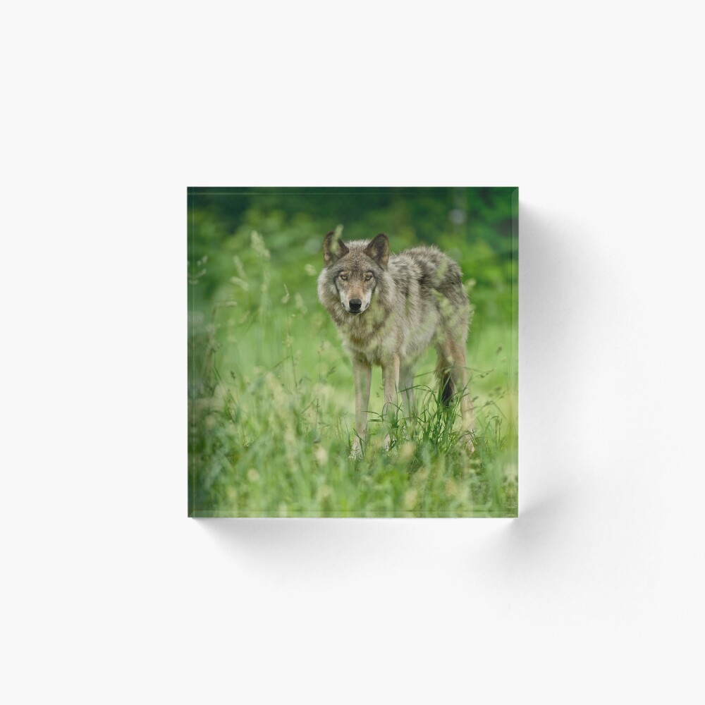 Vista previa del artículo con la obra «Bloque acrílico», diseñado y vendido por WolvesOnly.