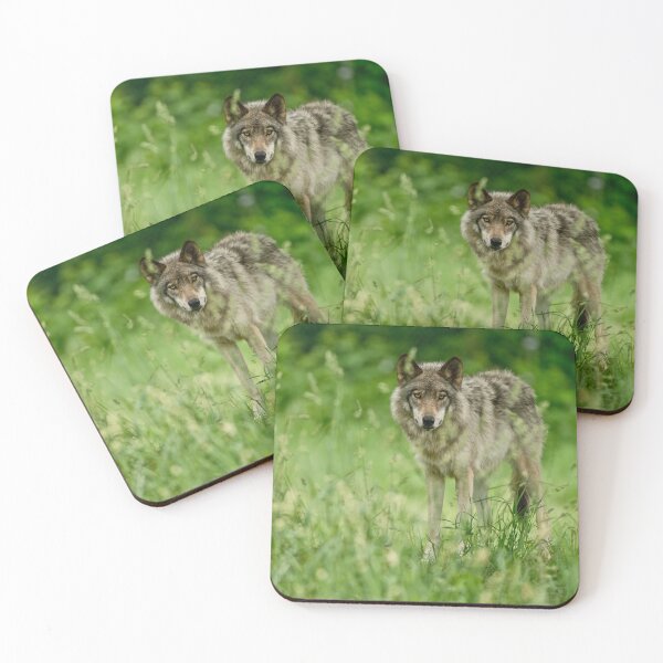 Artikelvorschau, Timber Wolf entworfen und verkauft von WolvesOnly.