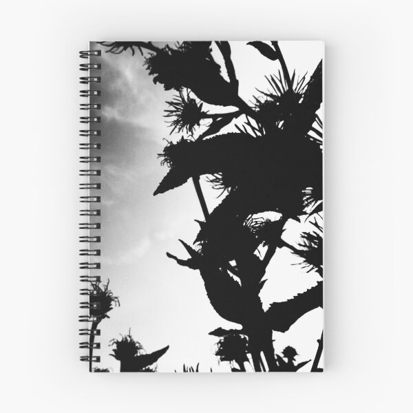 Item preview, Elecampane in flower 2 (monochrome, dark) designed and sold by paulboizot.