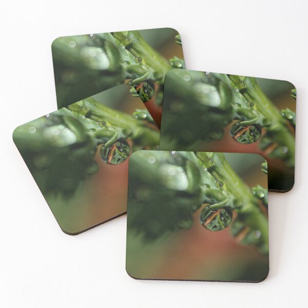 Item preview, Reflection designed and sold by aprilann.