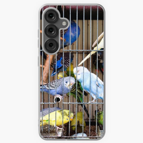 Item preview, Caged Budgerigars designed and sold by troianifabrizio.