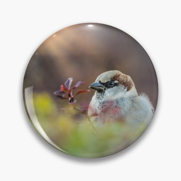 Item preview, Finch In The Sunlight designed and sold by mljdwhite.
