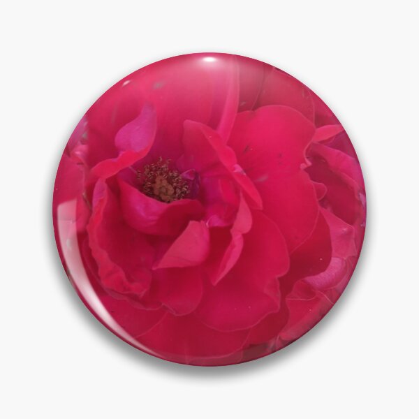 Artikelvorschau, Rotes Rosenmuster entworfen und verkauft von naturalpatterns.