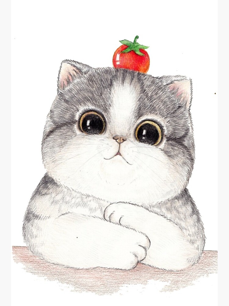 Cat Cartoon Drawing Illustration, Big cat face painted, white kitten  illustration