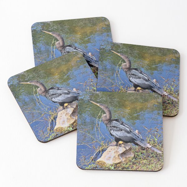 Item preview, Archibald The Anhinga designed and sold by Lanis Rossi.