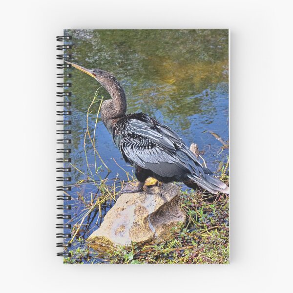 Item preview, Archibald The Anhinga designed and sold by Lanis Rossi.