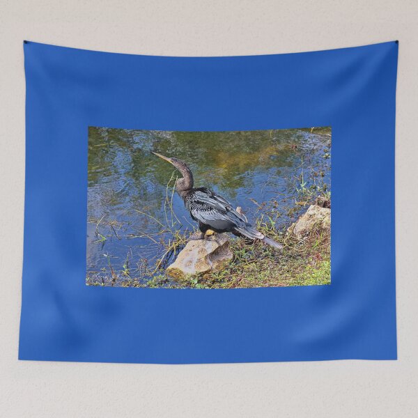 Item preview, Archibald The Anhinga designed and sold by Lanis Rossi.