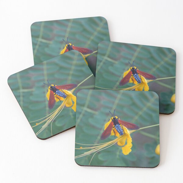Item preview, Caribbean Nectar Lover designed and sold by hoxtonboy.
