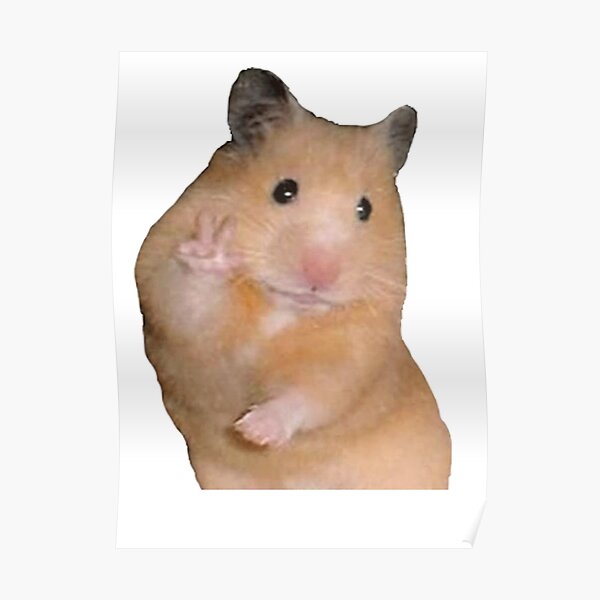 Peace Hamster Posters | Redbubble