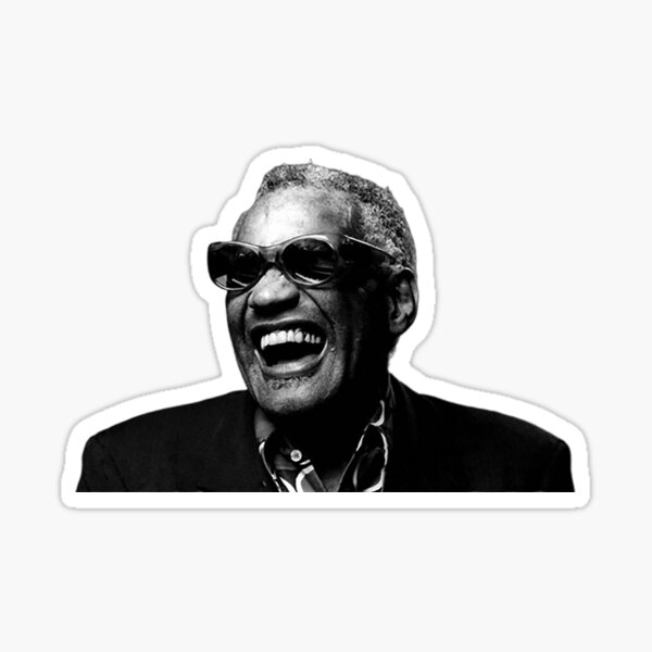 RAY CHARLES PORTRAIT FACE MATTE PRINT POSTER SIZE MUSIC BLUES SOUL JAZZ SONGS 
