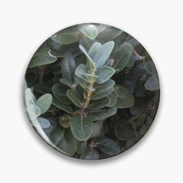 Item preview, Plant motif of marine arroche designed and sold by naturalpatterns.