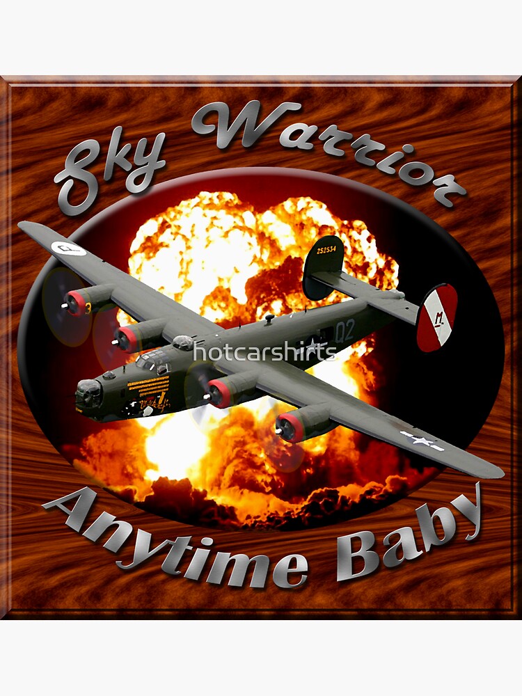 B-24 Liberator Sky Warrior by hotcarshirts