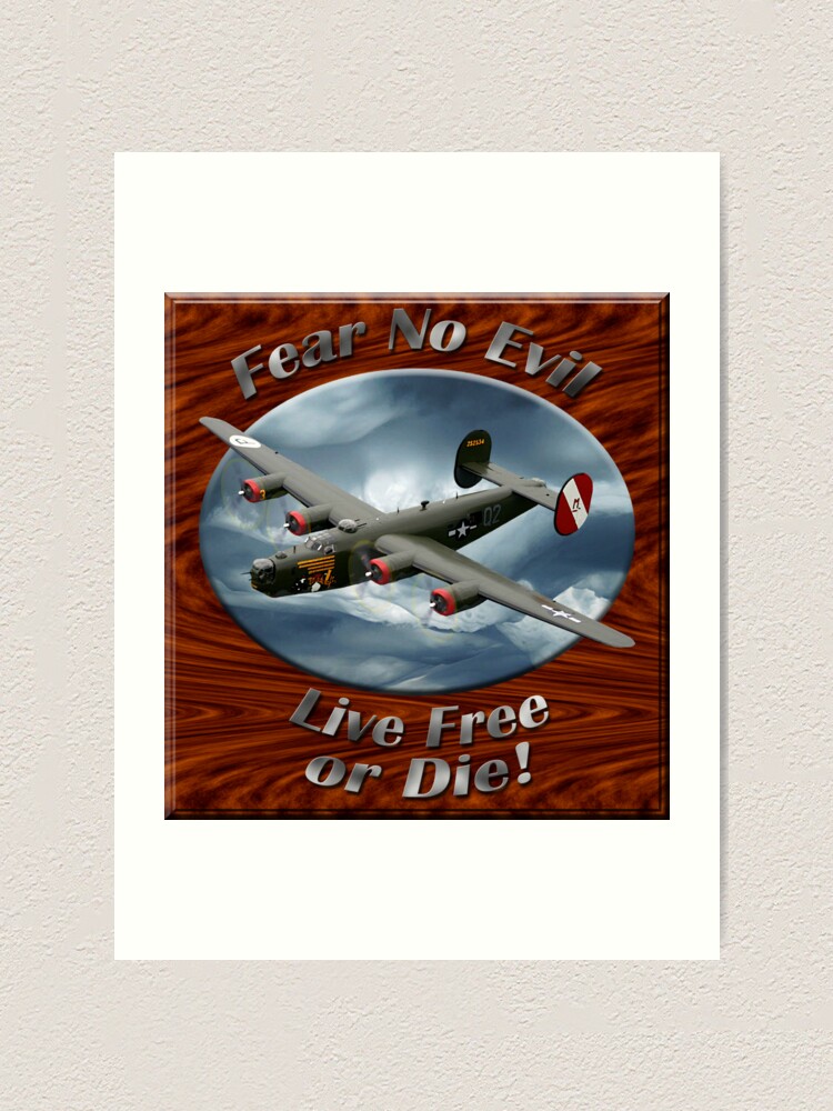 Alternate view of B-24 Liberator Fear No Evil Art Print