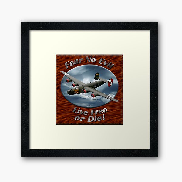 B-24 Liberator Fear No Evil Framed Art Print
