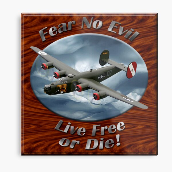 B-24 Liberator Fear No Evil Metal Print