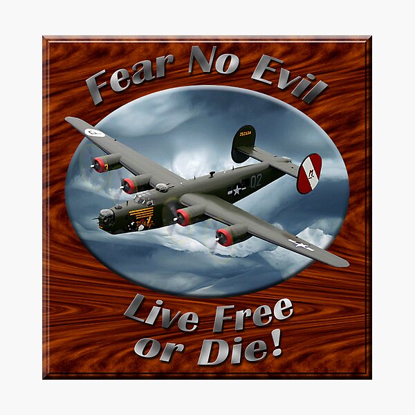 B-24 Liberator Fear No Evil Photographic Print