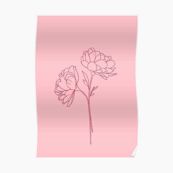 Peony botanical illustration - Bonnie Poster