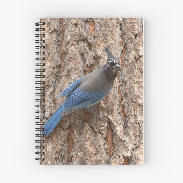 Item preview,  Steller's Jay designed and sold by WorldDesign.