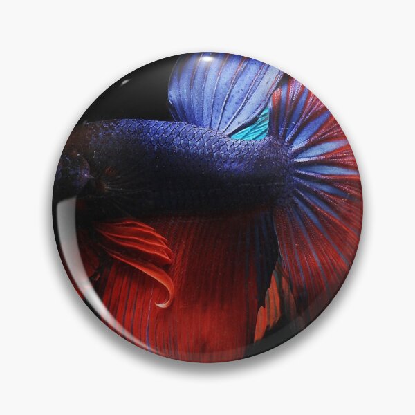 Item preview, Betta splendens fish designed and sold by greengoodnich.
