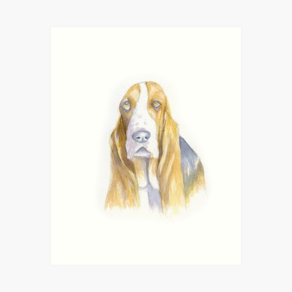 Droopy Ears Art Prints Redbubble Droopy Ears Art Prints Redbubble