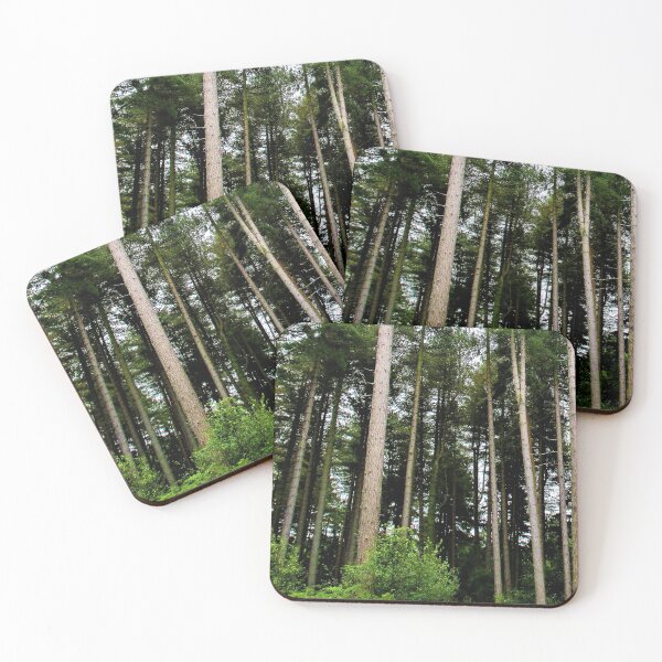 Item preview, Tall Trees  designed and sold by realdorypanda.