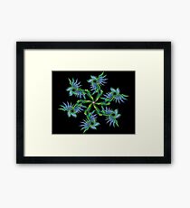 Spiraling Flowers Framed Print