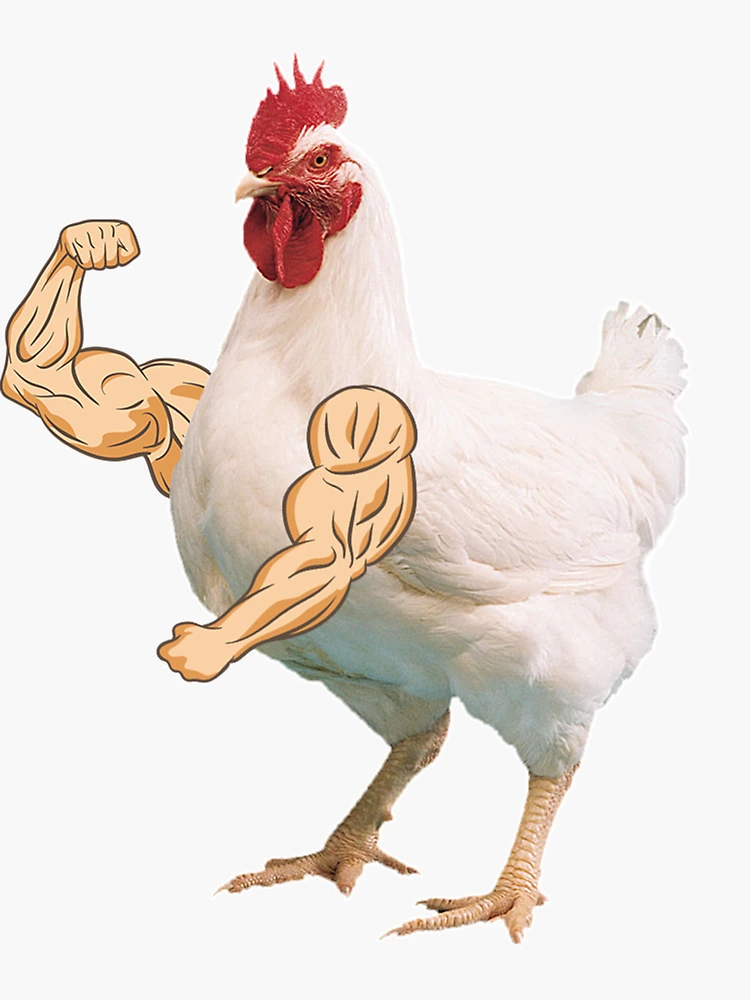 Chicken Arms Stickers for Sale