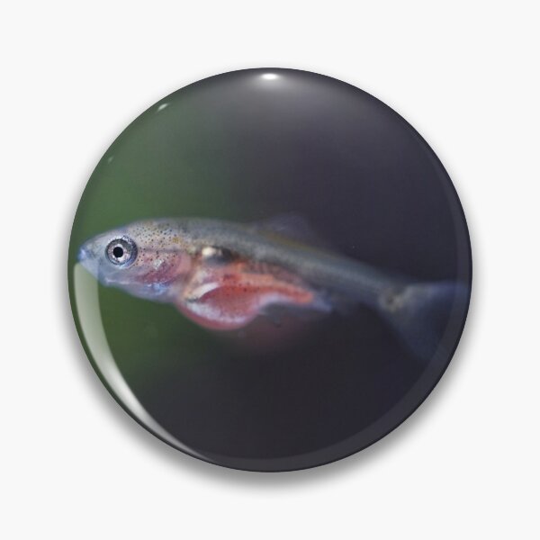 Item preview, Baby Goldfish! designed and sold by GregDorney.