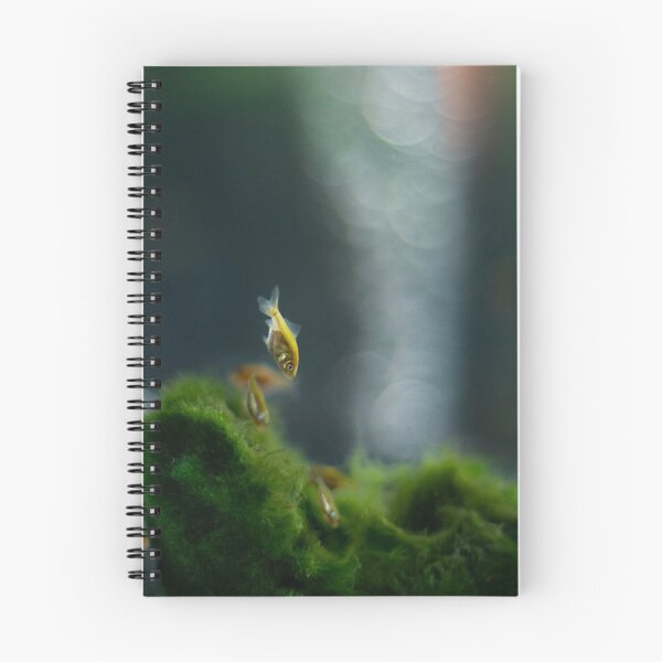 Item preview, Baby Goldfish Fry en Moss Ball designed and sold by GregDorney.