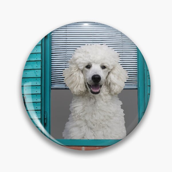 Artikelvorschau, Blue Window brick wall Poodle entworfen und verkauft von Move-Art.