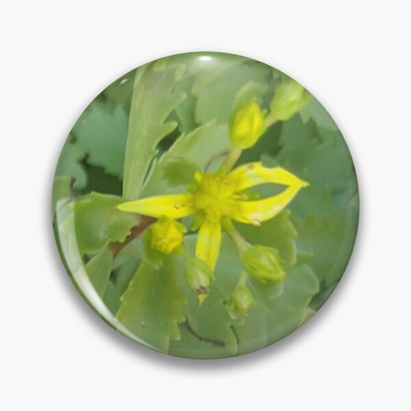 Artikelvorschau, gelbe Blume im Muster entworfen und verkauft von naturalpatterns.