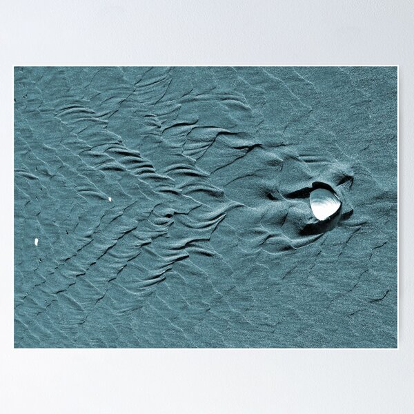 Item preview, The Rare Fighting Sand Fish   designed and sold by PictureNZ.