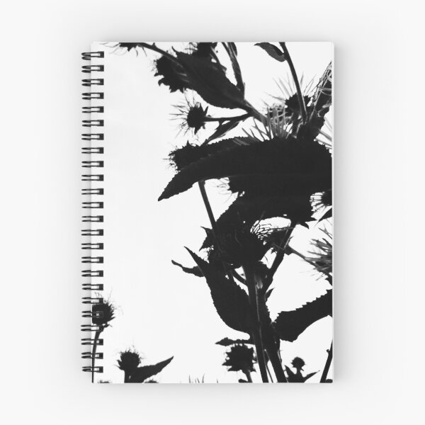Item preview, Elecampane in flower 2 (monochrome, high contrast) designed and sold by paulboizot.
