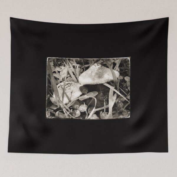 Item preview, Fairy Shelters designed and sold by XXX Zombieboy XXX.
