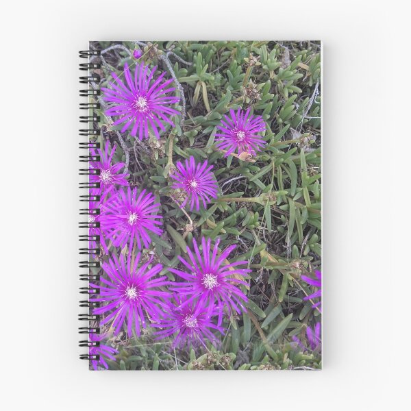 Item preview, Delosperma Cooperi in pattern designed and sold by naturalpatterns.