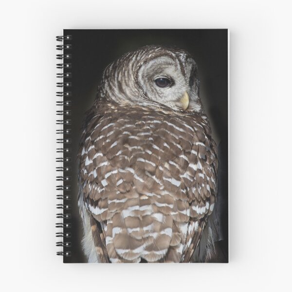 Item preview, Barred Owl designed and sold by May Finch.