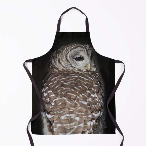 Item preview, Barred Owl designed and sold by May Finch.