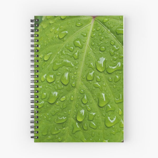 Item preview, Raindrops on a Bright Green Morning Glory Leaf designed and sold by Jeanne Kramer-Smyth.