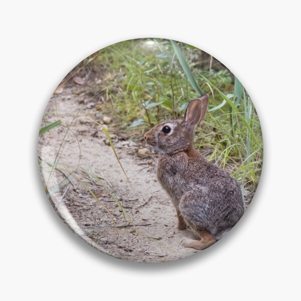 Item preview, Wild Rabbit designed and sold by PhotoArt by Joan Carroll.