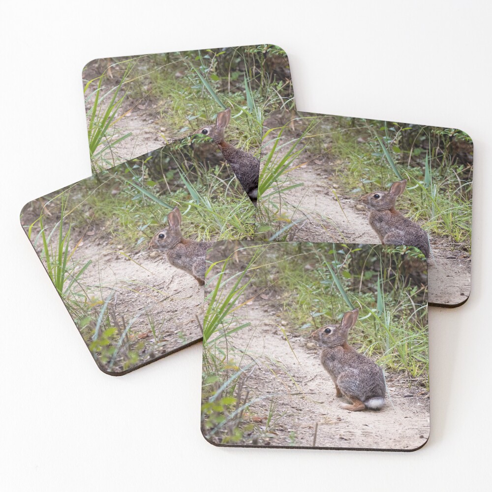 Item preview, Coasters (Set of 4) designed and sold by joancarroll.