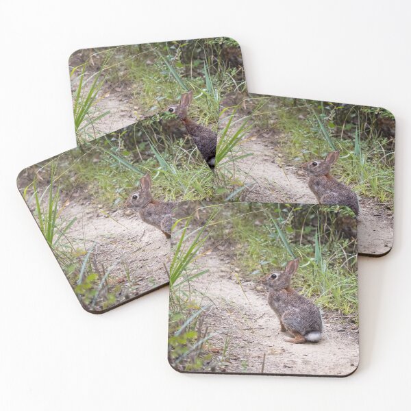 Item preview, Wild Rabbit designed and sold by PhotoArt by Joan Carroll.