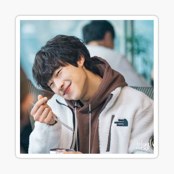 woo do hwan Sticker