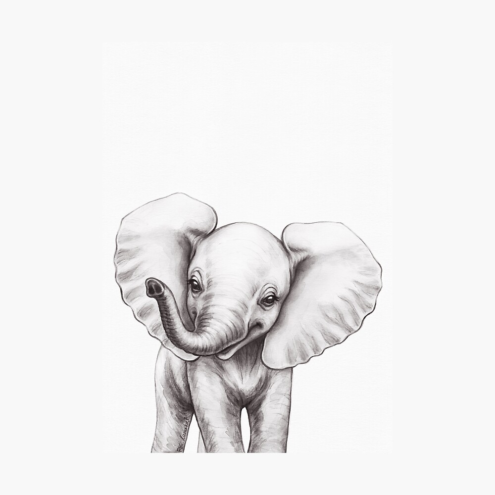 Baby Elephant - Black & White" Poster by lanakat Redbubble
