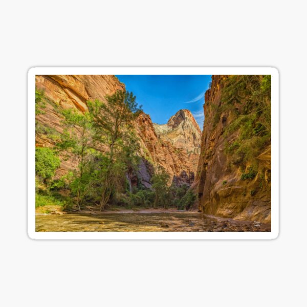 Vista previa del artículo con la obra «Parque Nacional Narrows Zion», diseñado y vendido por GestaltImagery.