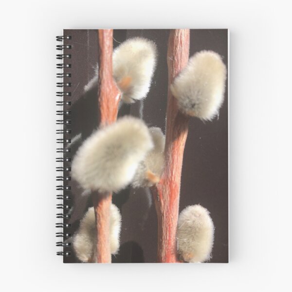 Item preview, Dried Pussy Willow Branches  designed and sold by Kaushal Pal.