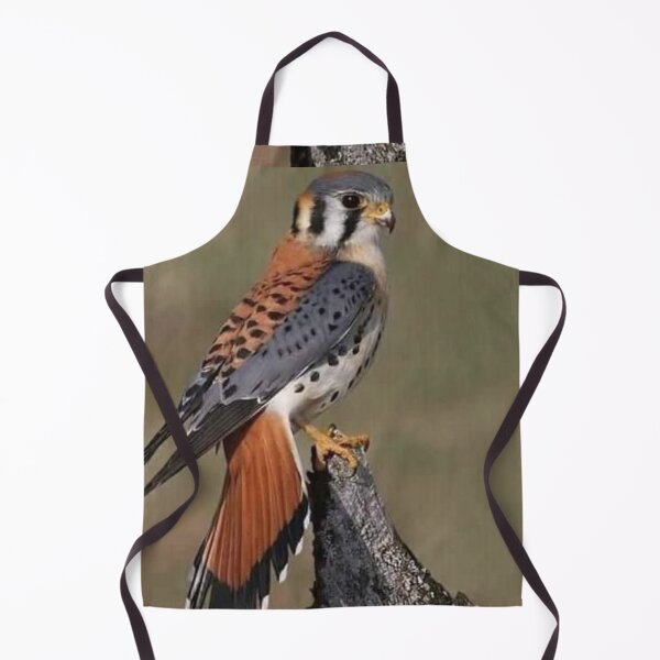 Item preview, Brown bird designed and sold by Moni3572.