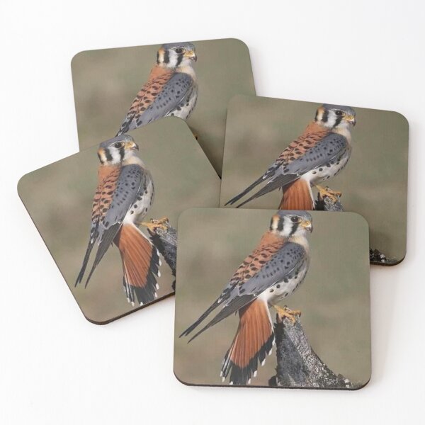 Item preview, Brown bird designed and sold by Moni3572.