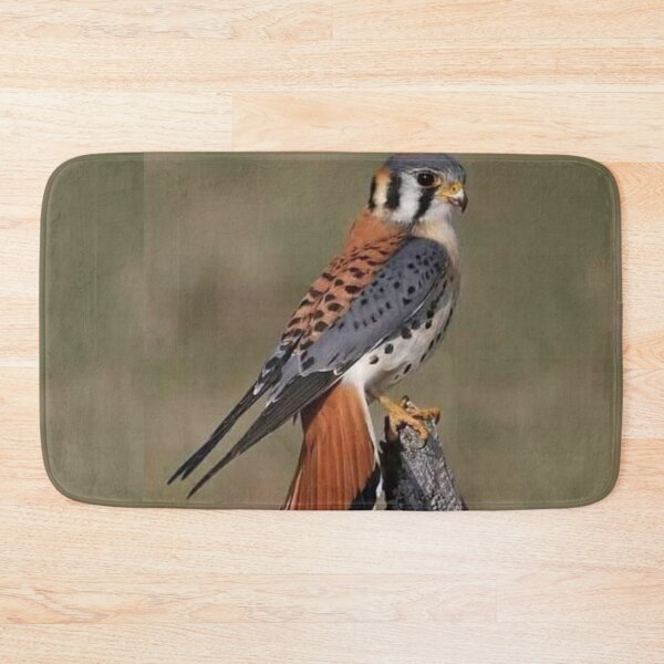 Item preview, Brown bird designed and sold by Moni3572.